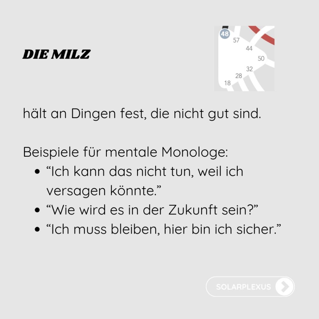 undefiniertes Milzzentrum, Immunsystem, körperliches Wohlbefinden, Urängste, Nicht Selbst, Persönlichkeitsentwicklung, Angst