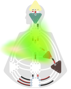 Projektor, Aura, Human Design, Strategie, original HDS, Humanenergetiker in Oberösterreich
