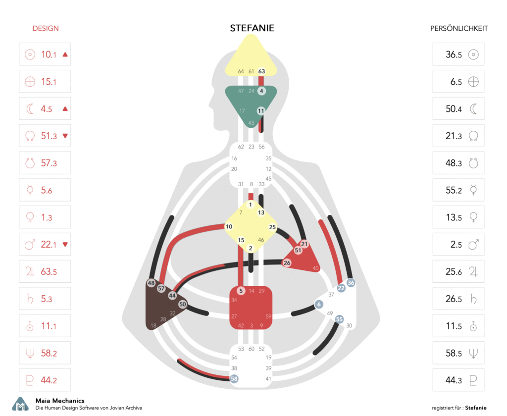Human Design, Bodygraph, Chart, Rave Mandala, Was ist Human Design, Experiment